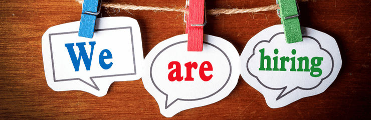 DBS Checks for High-Volume Seasonal Hiring