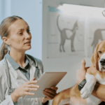 DBS Checks in the Veterinary Industry