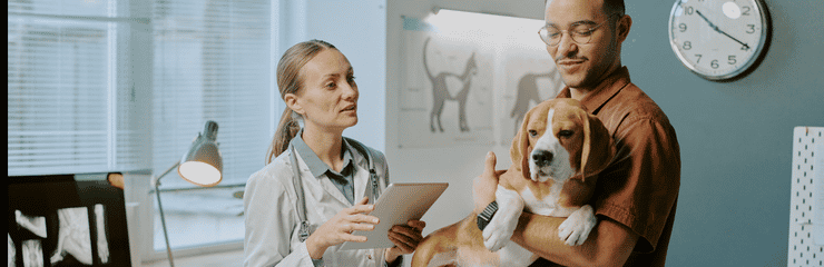 DBS Checks in the Veterinary Industry