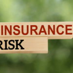 DBS Checks and Insurance Risk