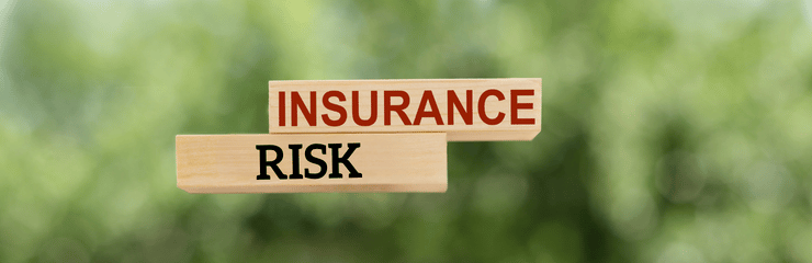 DBS Checks and Insurance Risk